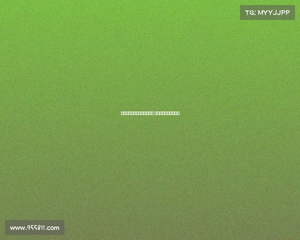 法甲新赛季开局强势引发关注 多支球队争夺榜首之位